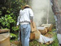 Descripción: Beschreibung: C:\Users\Seraphim\Documents\Pagina Web\Fotos\259974_197300726984856_552714_n[1].jpg