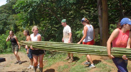 wwoofing, wwoof, volunteers, wwoofers, horse, organic farm, costa rica
