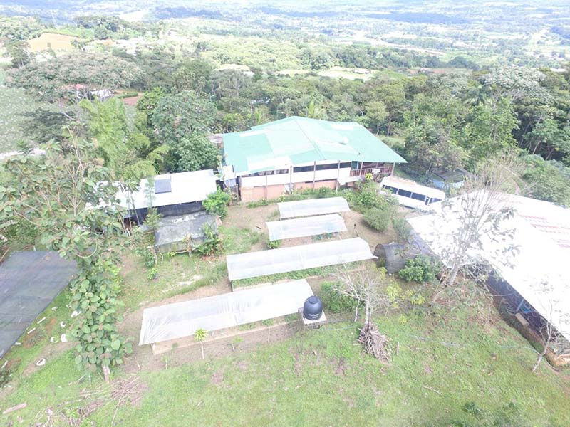 farm, organic farm, wwoofers, wwoofing, workaway, costa rica, volunteers, volunteering